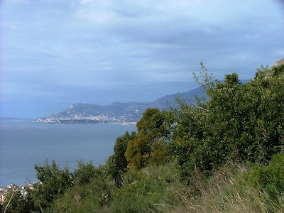 torri1